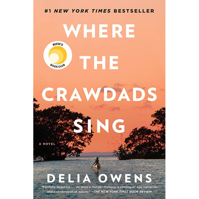 E-Comm: Summer Beach Reads